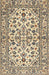 Traditional Brown Persian Rug, tr4101