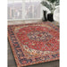 Traditional Light Copper Gold Medallion Rug in Family Room, tr4105