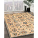 Traditional Copper Brown Persian Rug in Family Room, tr4107
