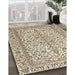 Machine Washable Traditional Brown Rug in a Family Room, wshtr4109