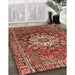 Machine Washable Traditional Tomato Red Rug in a Family Room, wshtr4113