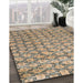 Machine Washable Traditional Brown Rug in a Family Room, wshtr4119