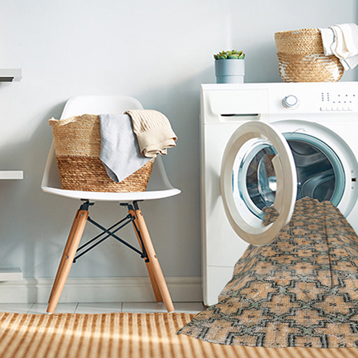 Machine Washable Traditional Brown Rug in a Washing Machine, wshtr4119