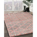 Traditional Rust Pink Persian Rug in Family Room, tr4120