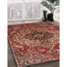 Traditional Orange Salmon Pink Medallion Rug in Family Room, tr4125