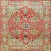 Square Traditional Brown Gold Persian Rug, tr412