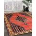 Traditional Red Medallion Rug in Family Room, tr4139