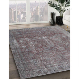 Machine Washable Traditional Gunmetal Gray Rug in a Family Room, wshtr4145
