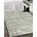 Machine Washable Traditional Pale Silver Gray Rug in a Family Room, wshtr4149