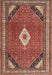 Traditional Orange Salmon Pink Medallion Rug, tr4154