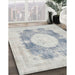 Traditional Dark Gray Medallion Rug in Family Room, tr4156