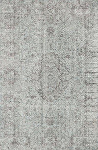 Machine Washable Traditional Pale Silver Gray Rug, wshtr4164