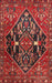 Traditional Cherry Red Medallion Rug, tr4165