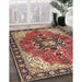 Traditional Saffron Red Medallion Rug in Family Room, tr4166