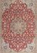 Traditional Fire Brick Red Medallion Rug, tr4168