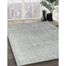 Machine Washable Traditional Silver Gray Rug in a Family Room, wshtr4169