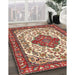 Traditional Red Medallion Rug in Family Room, tr4172