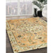 Machine Washable Traditional Cinnamon Brown Rug in a Family Room, wshtr4173