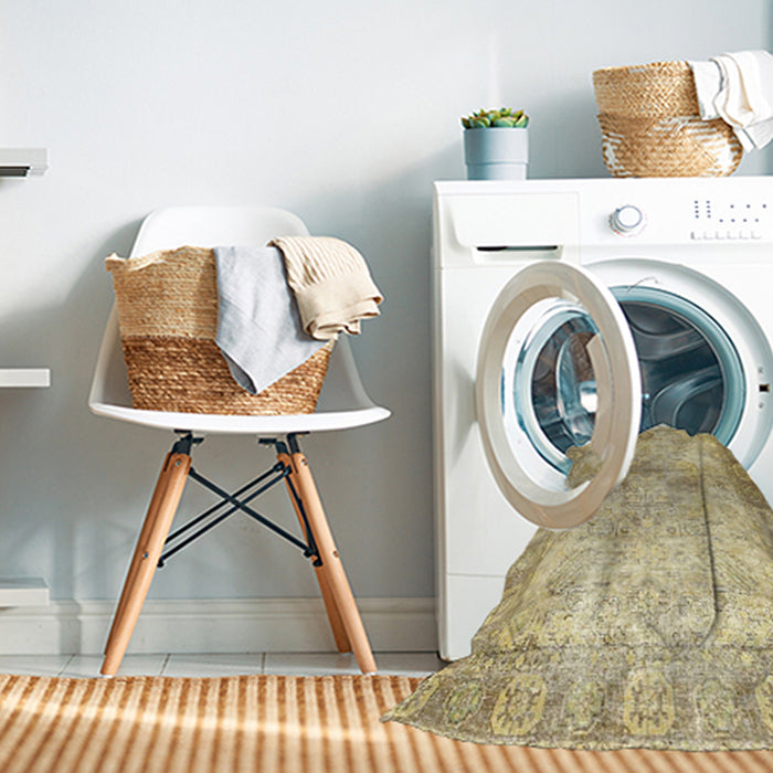 Machine Washable Traditional Brown Gold Rug in a Washing Machine, wshtr4179
