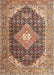 Traditional Brown Red Medallion Rug, tr4182