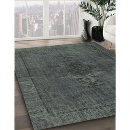 Machine Washable Traditional Grey Gray Rug in a Family Room, wshtr4183