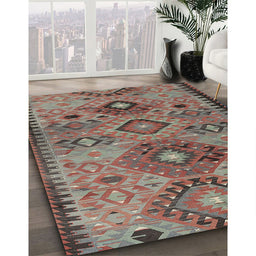 Traditional Chestnut Brown Persian Rug in Family Room, tr4188