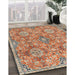 Machine Washable Traditional Mahogany Brown Rug in a Family Room, wshtr4196