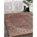 Traditional Light Copper Gold Medallion Rug in Family Room, tr4207