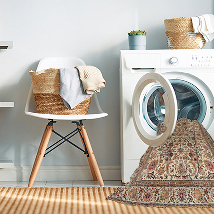 Machine Washable Traditional Sienna Brown Rug in a Washing Machine, wshtr4209
