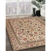 Machine Washable Traditional Sienna Brown Rug in a Family Room, wshtr4209