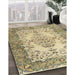 Machine Washable Traditional Brown Rug in a Family Room, wshtr4216