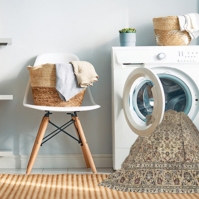 Machine Washable Traditional Brown Rug in a Washing Machine, wshtr4219