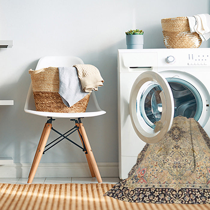 Machine Washable Traditional Brown Rug in a Washing Machine, wshtr4221