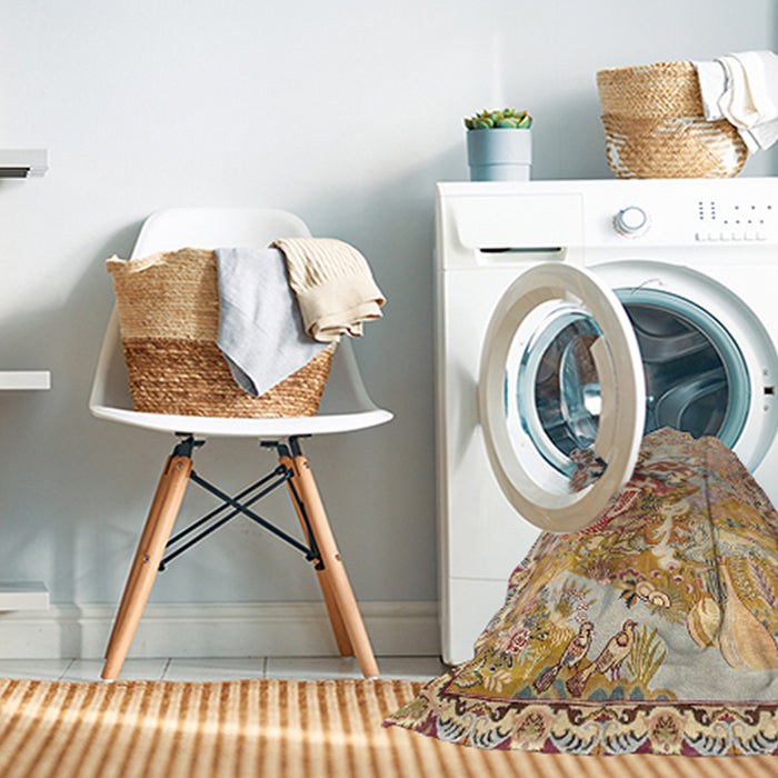 Machine Washable Traditional Brown Rug in a Washing Machine, wshtr4222