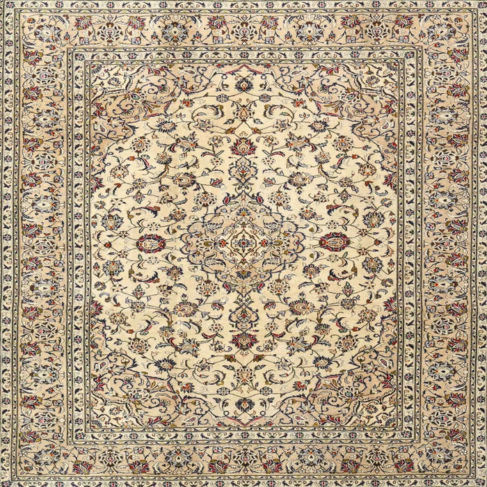 Square Traditional Brown Persian Rug, tr4227