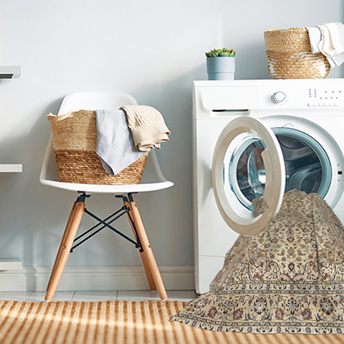 Machine Washable Traditional Brown Rug in a Washing Machine, wshtr4227