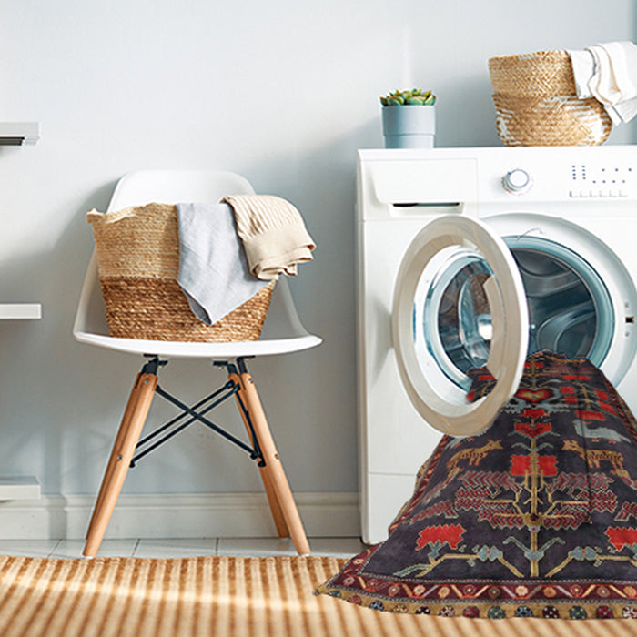 Machine Washable Traditional Brown Rug in a Washing Machine, wshtr4244
