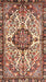 Traditional Saffron Red Persian Rug, tr4245