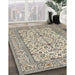 Machine Washable Traditional Carbon Gray Rug in a Family Room, wshtr424