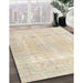 Machine Washable Traditional Vanilla Gold Rug in a Family Room, wshtr4259