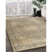 Machine Washable Traditional Dark Almond Brown Rug in a Family Room, wshtr4273