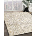 Machine Washable Traditional Tan Brown Rug in a Family Room, wshtr4276