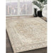 Machine Washable Traditional Light French Beige Brown Rug in a Family Room, wshtr4278