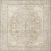 Square Traditional Light French Beige Brown Persian Rug, tr4278