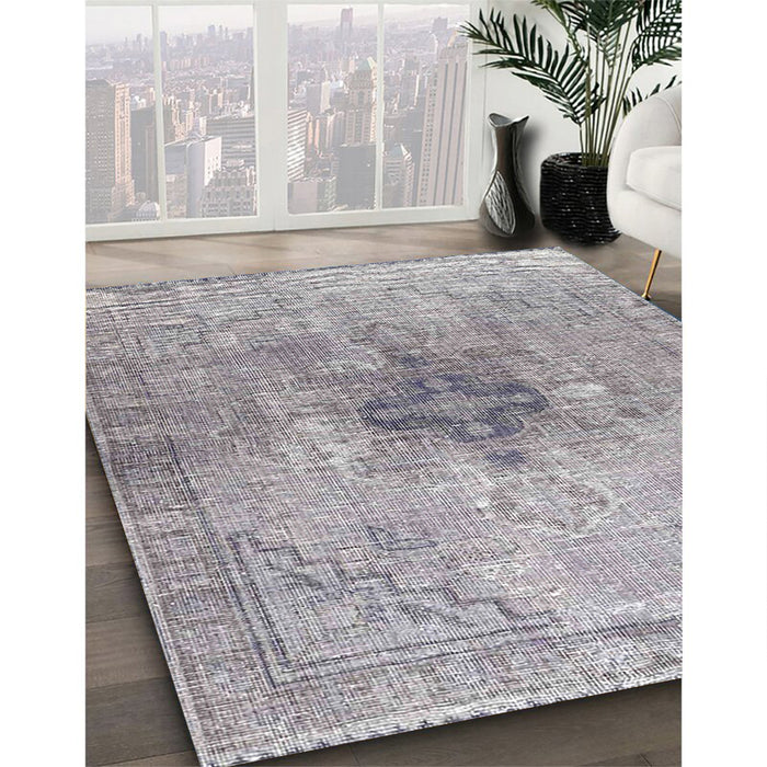 Traditional Platinum Silver Gray Persian Rug in Family Room, tr4283