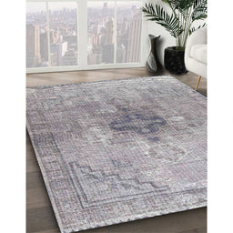 Machine Washable Traditional Platinum Silver Gray Rug in a Family Room, wshtr4283