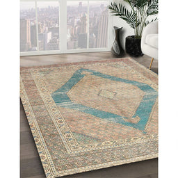 Traditional Dark Almond Brown Persian Rug in Family Room, tr4284