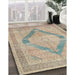 Machine Washable Traditional Dark Almond Brown Rug in a Family Room, wshtr4284