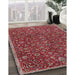 Machine Washable Traditional Orange Salmon Pink Rug in a Family Room, wshtr4292