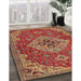 Traditional Brown Persian Rug in Family Room, tr4293
